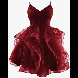 Wine Red Tulle Mini Party Dress with Corset
